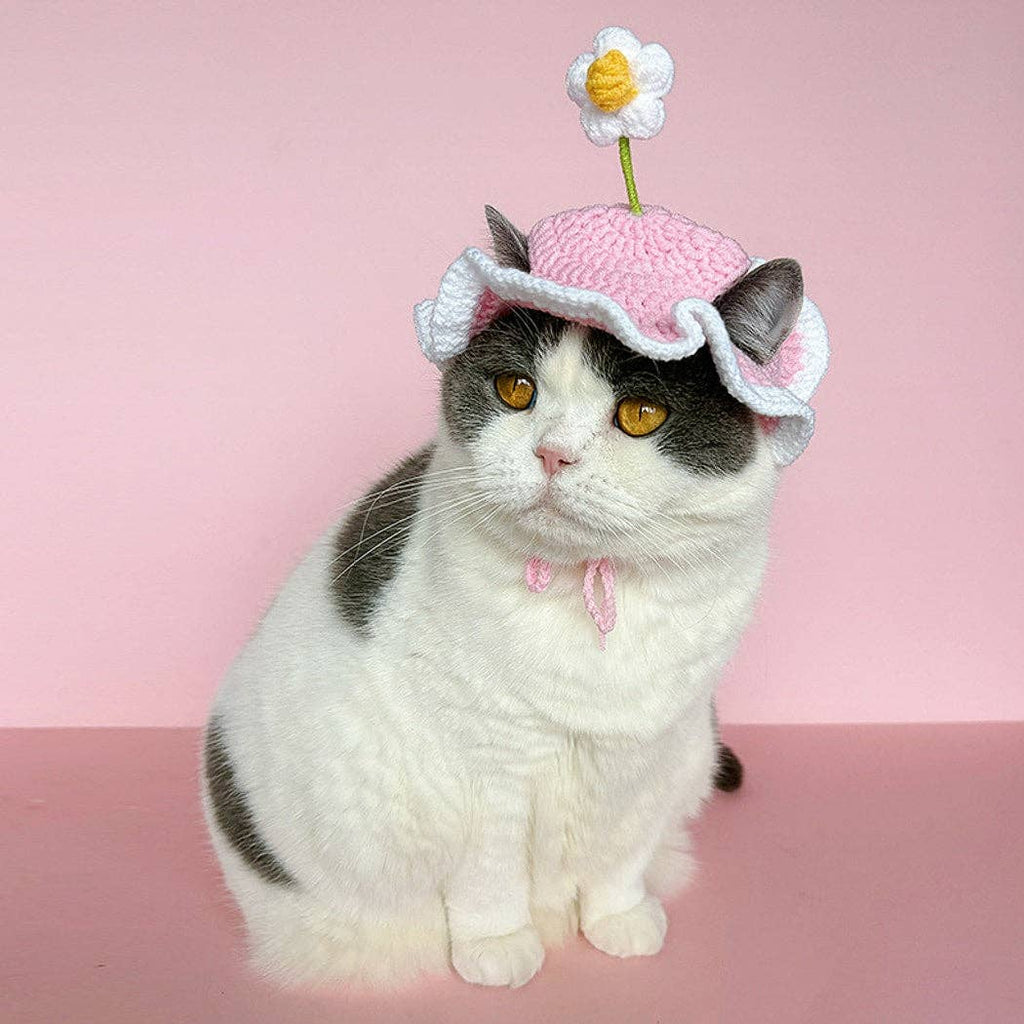 Ozzie - Flower Accent Ruffle Edge Pet Hat