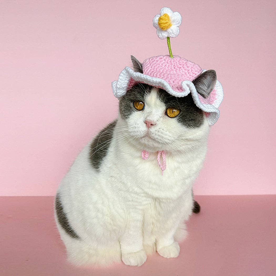 Ozzie - Flower Accent Ruffle Edge Pet Hat