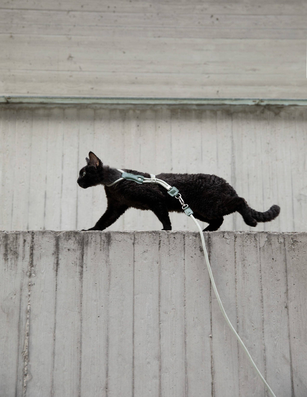 Escape Proof H-Shape Cat Harness and Leash Set Adjustable Ultra Lightweight Rope Walking Harness for Cats up to 17 lbs
