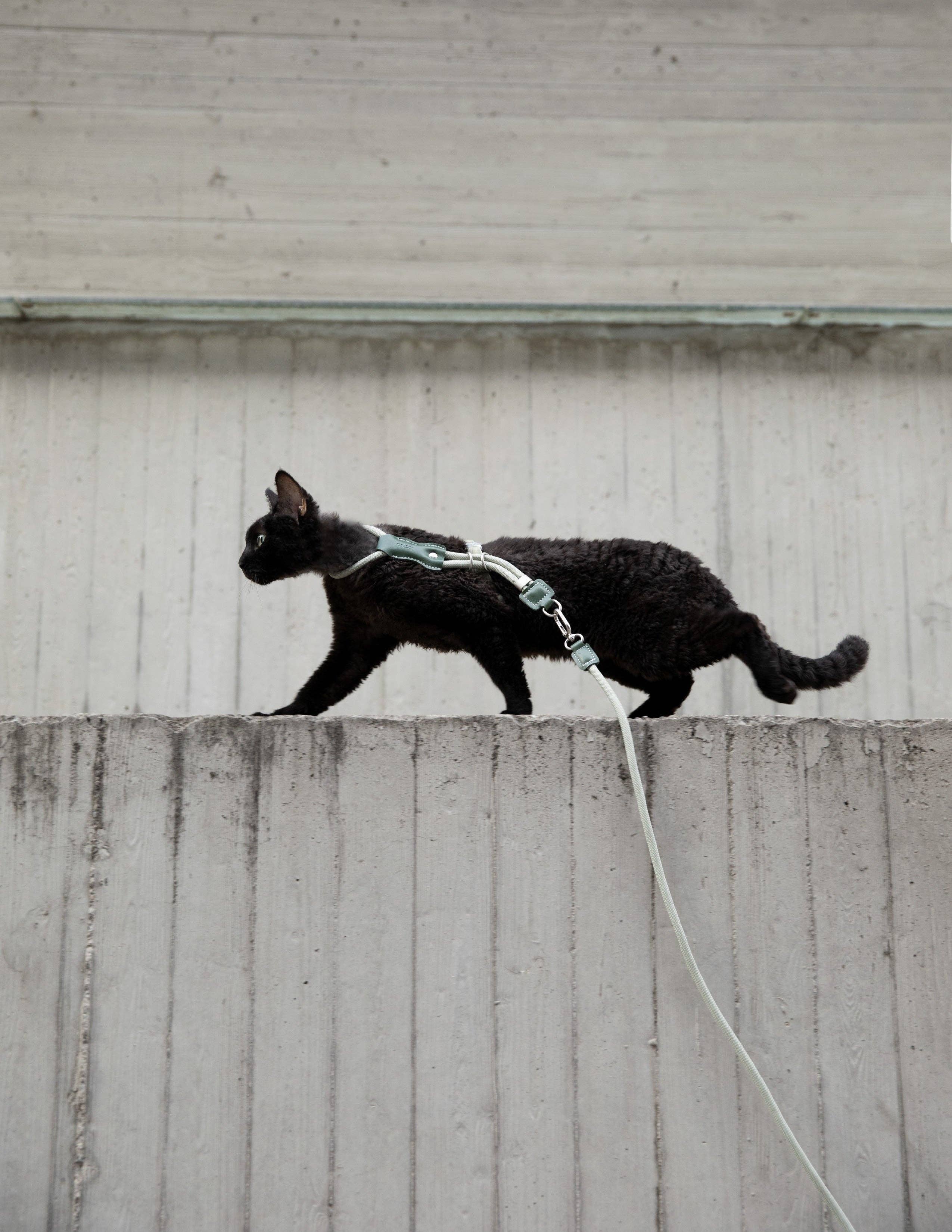 Escape Proof H-Shape Cat Harness and Leash Set Adjustable Ultra Lightweight Rope Walking Harness for Cats up to 17 lbs