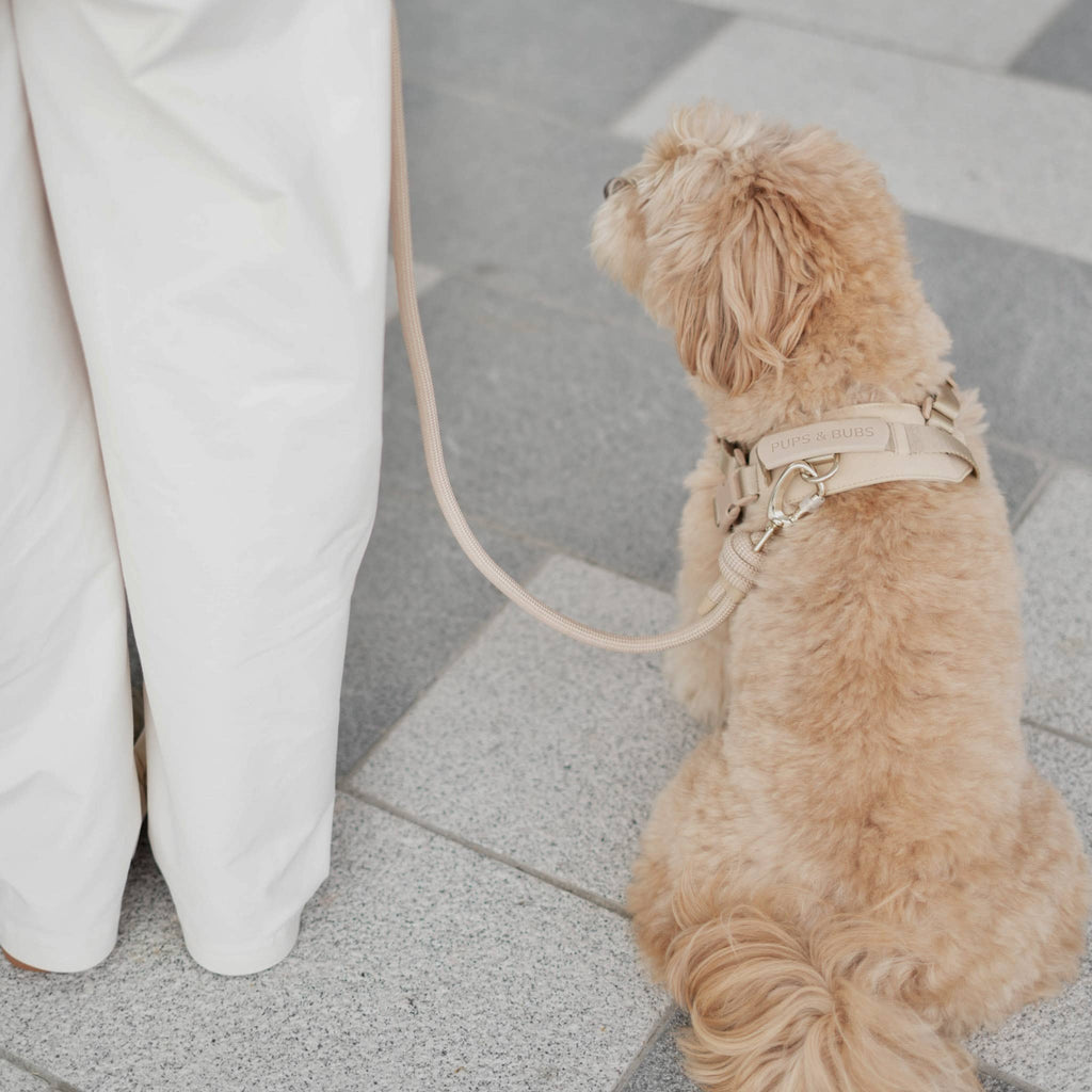 Rover Harness | Ultra Comfort Fabric