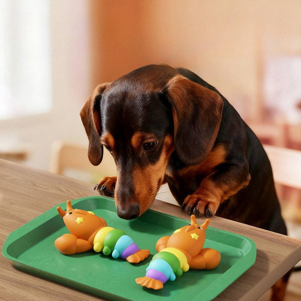 Petkin - Rainbow Lobster dog toy