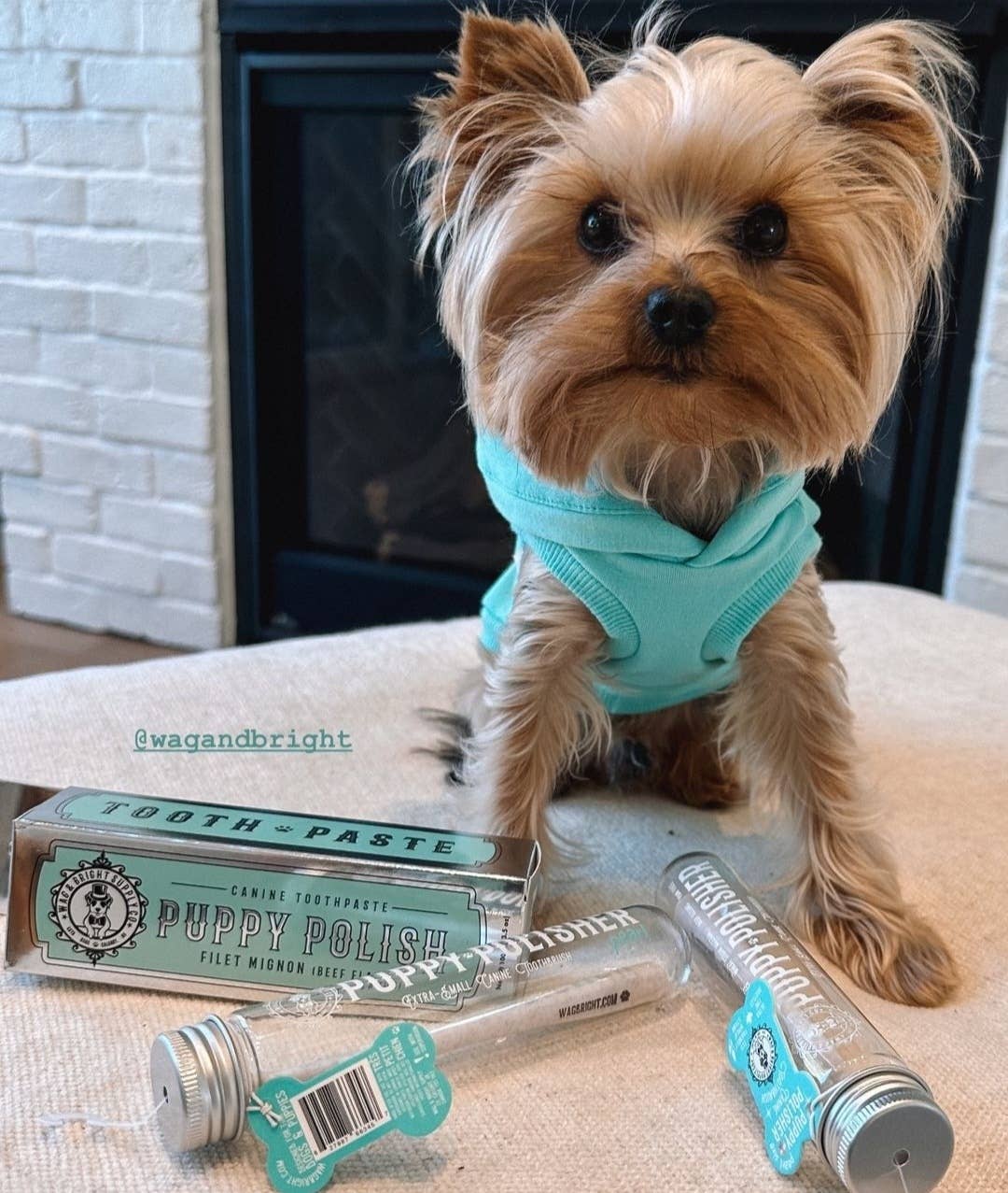Puppy Polisher Mini Eco Toothbrush - Mini (Small)