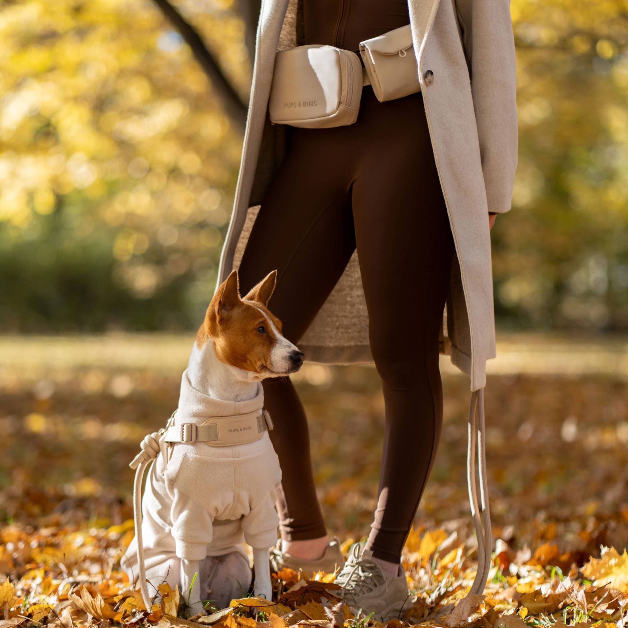 Rover Harness | Ultra Comfort Fabric