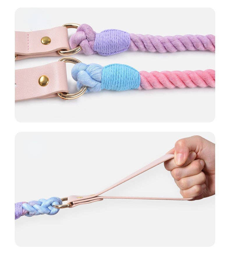 Loofie - Bright Dog Collar