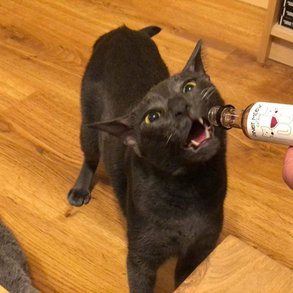 PetWineShop Cat Wine Pinot Meow Liquid Catnip For Cats