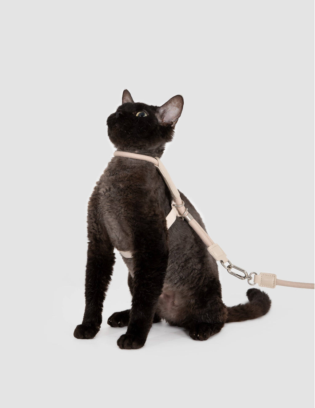 Escape Proof H-Shape Cat Harness and Leash Set Adjustable Ultra Lightweight Rope Walking Harness for Cats up to 17 lbs