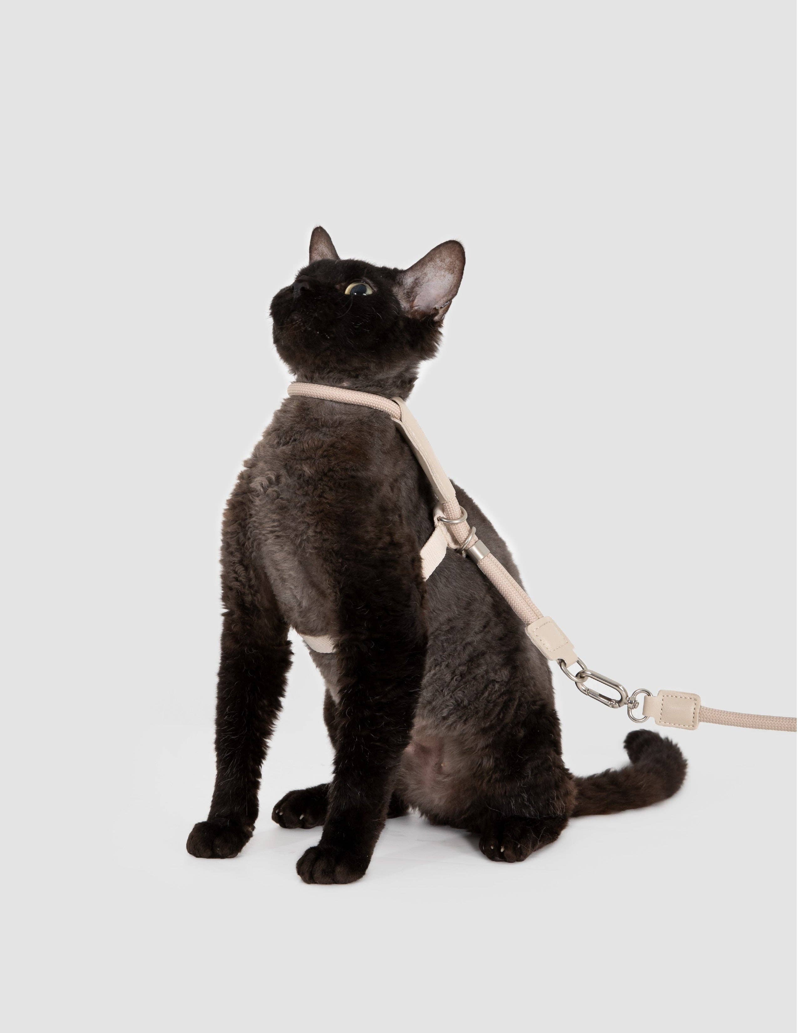 Escape Proof H-Shape Cat Harness and Leash Set Adjustable Ultra Lightweight Rope Walking Harness for Cats up to 17 lbs