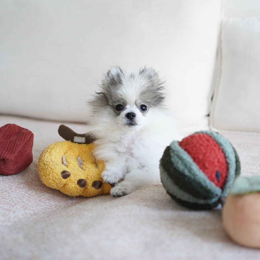 FRUIT SET // ENRICHMENT DOG TOY // SNUFFLE TOY SET