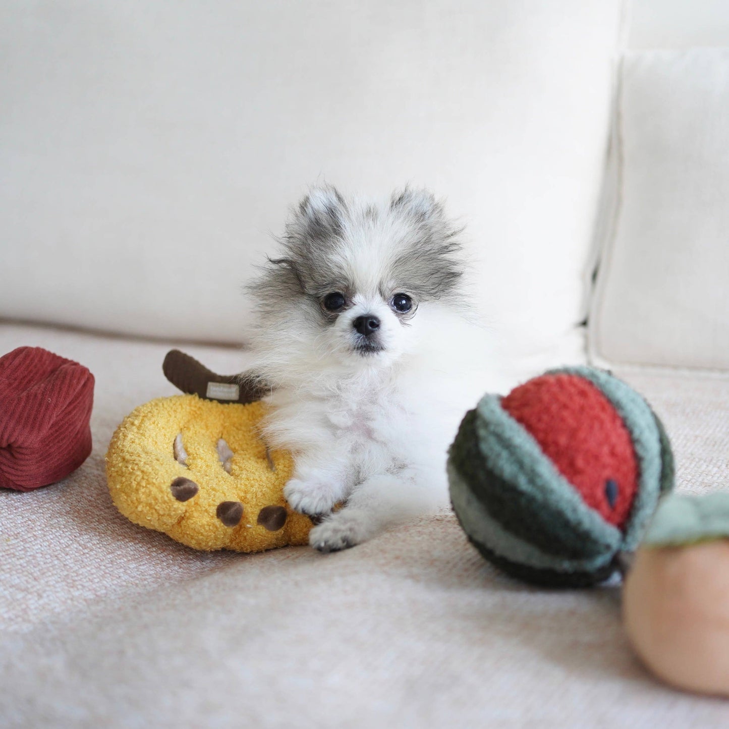 FRUIT SET // ENRICHMENT DOG TOY // SNUFFLE TOY SET