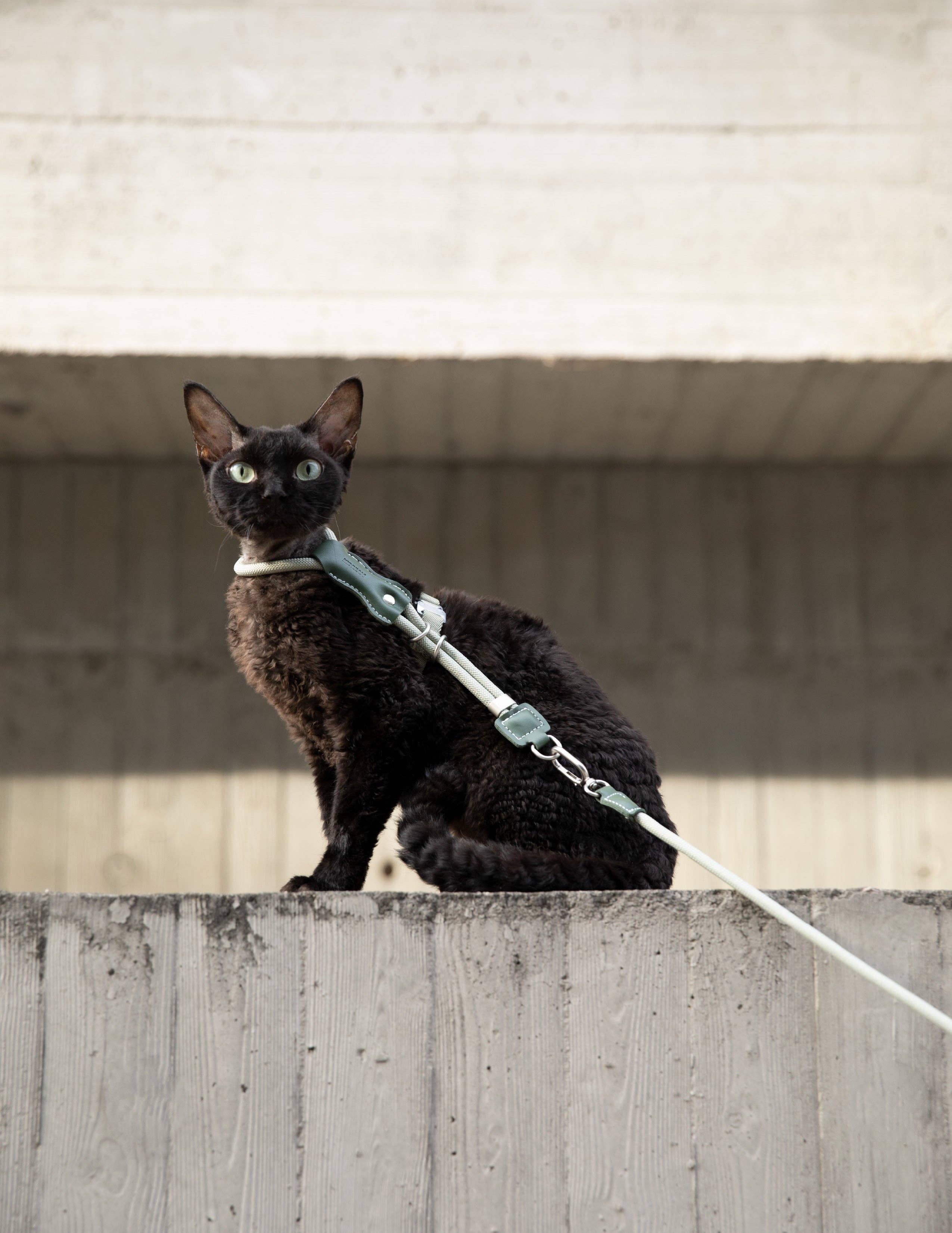Escape Proof H-Shape Cat Harness and Leash Set Adjustable Ultra Lightweight Rope Walking Harness for Cats up to 17 lbs