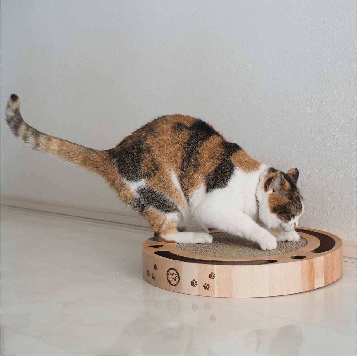 Interactive Track Ball Cat Scratcher