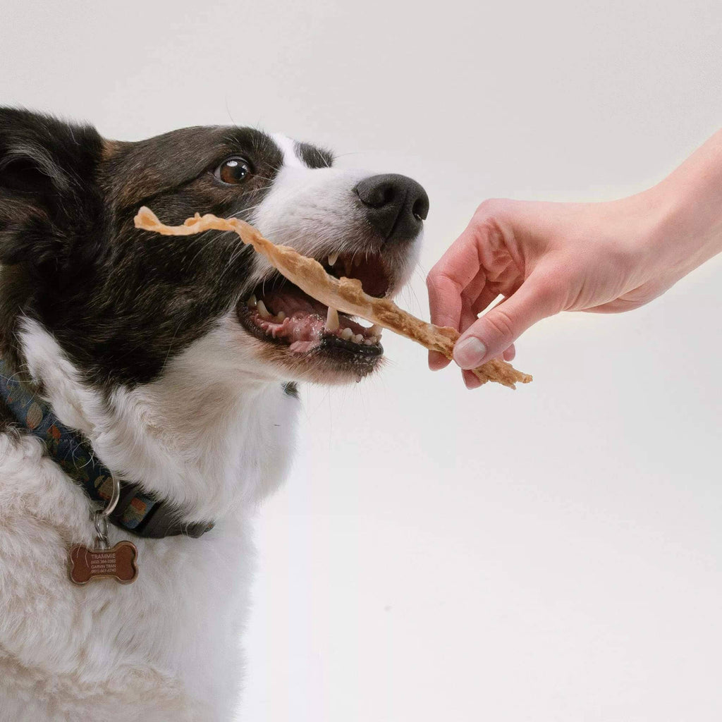 Turkey Tendon Dog Chews