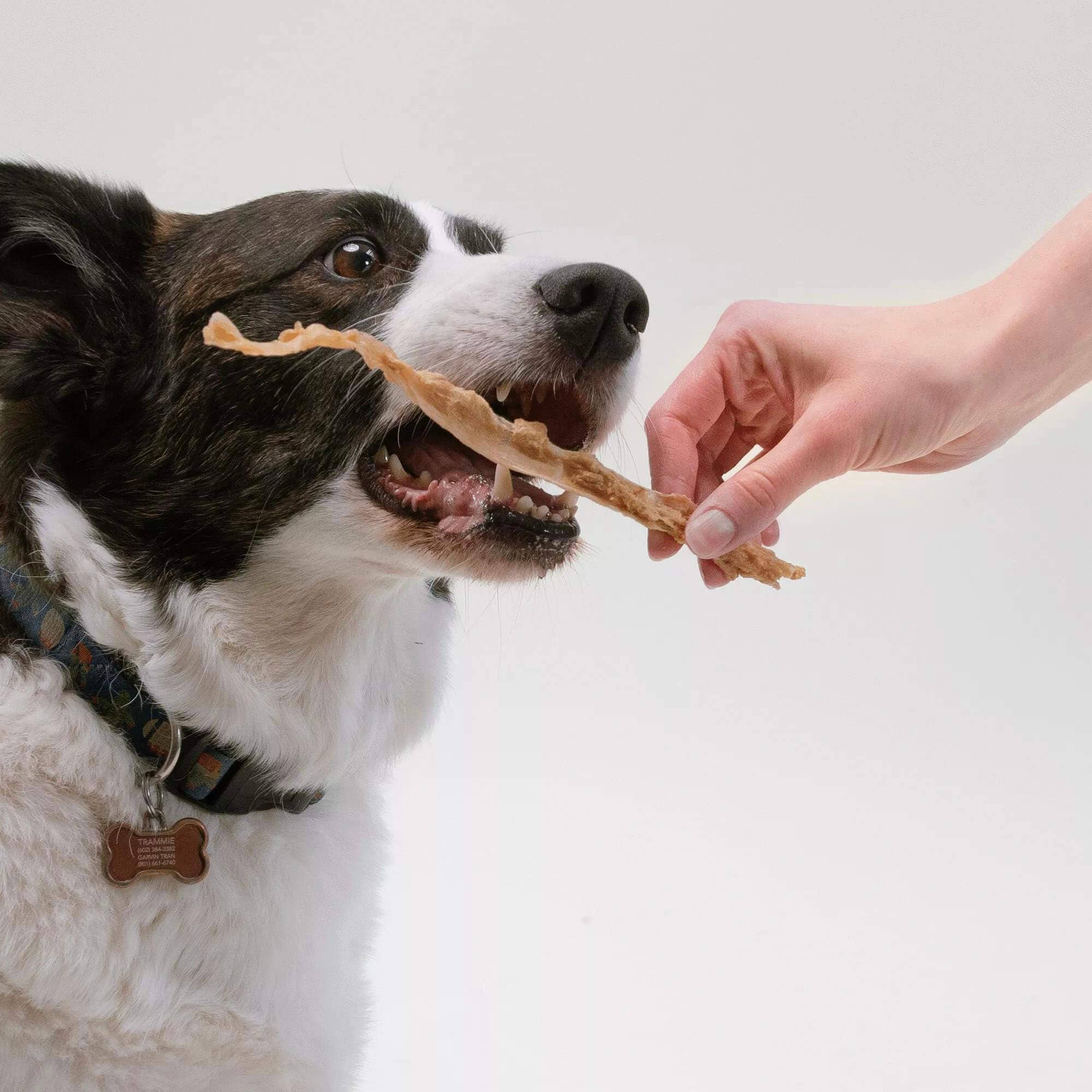 Turkey Tendon Dog Chews