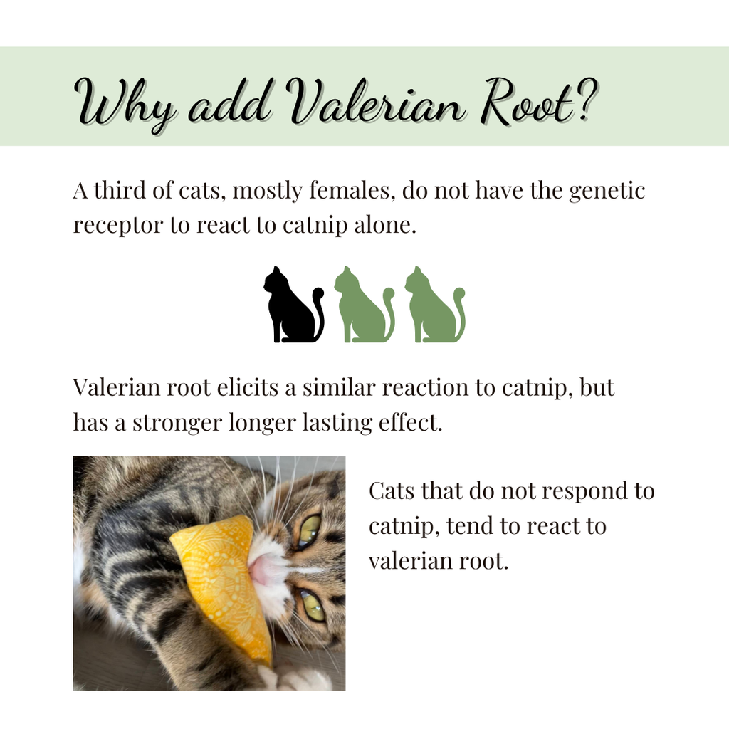 Catnip with Valerian Root Cat Toy | Cool Tones | Random Color