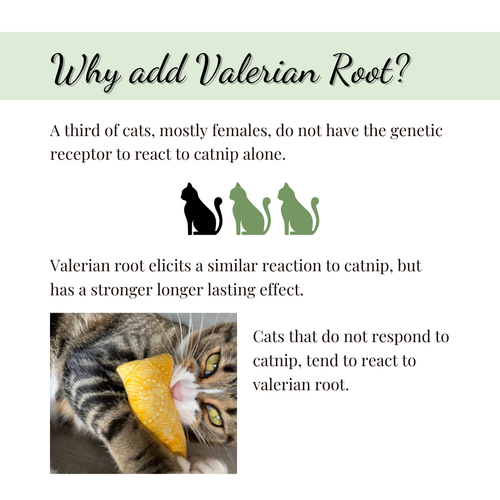 Catnip with Valerian Root Cat Toy | Halloween Icons | Autumn