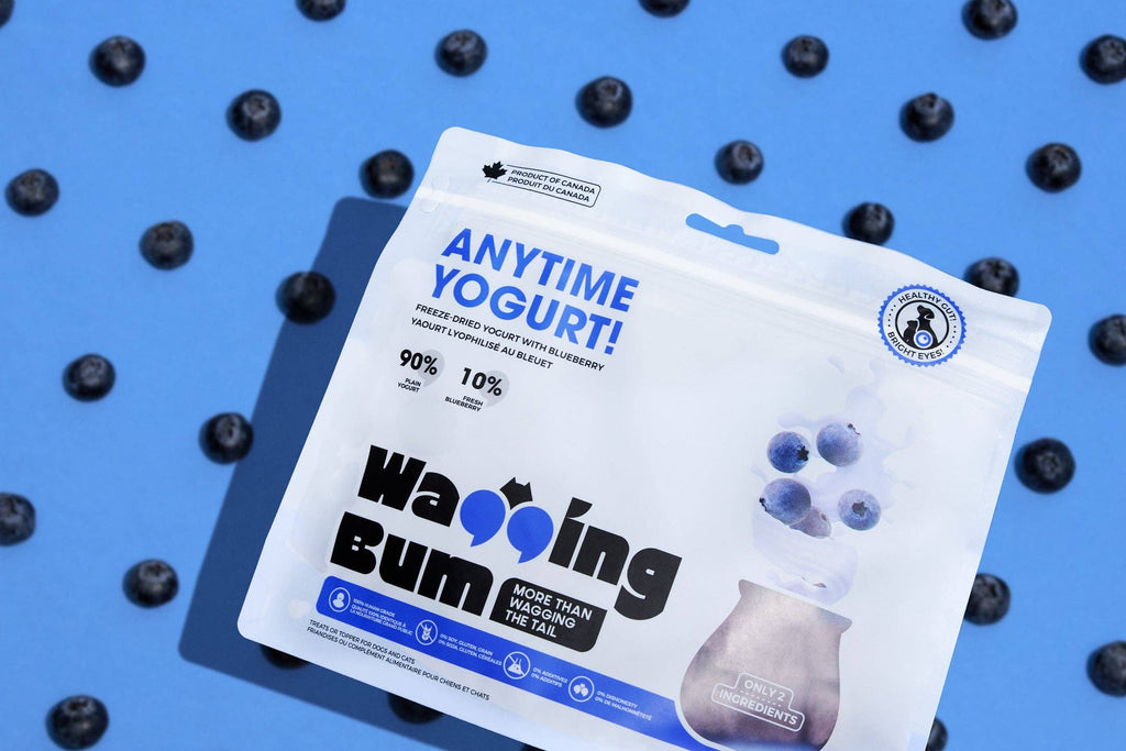 ANYTIME YOGURT! Freeze-dried Greek Yogurt with Blueberry
