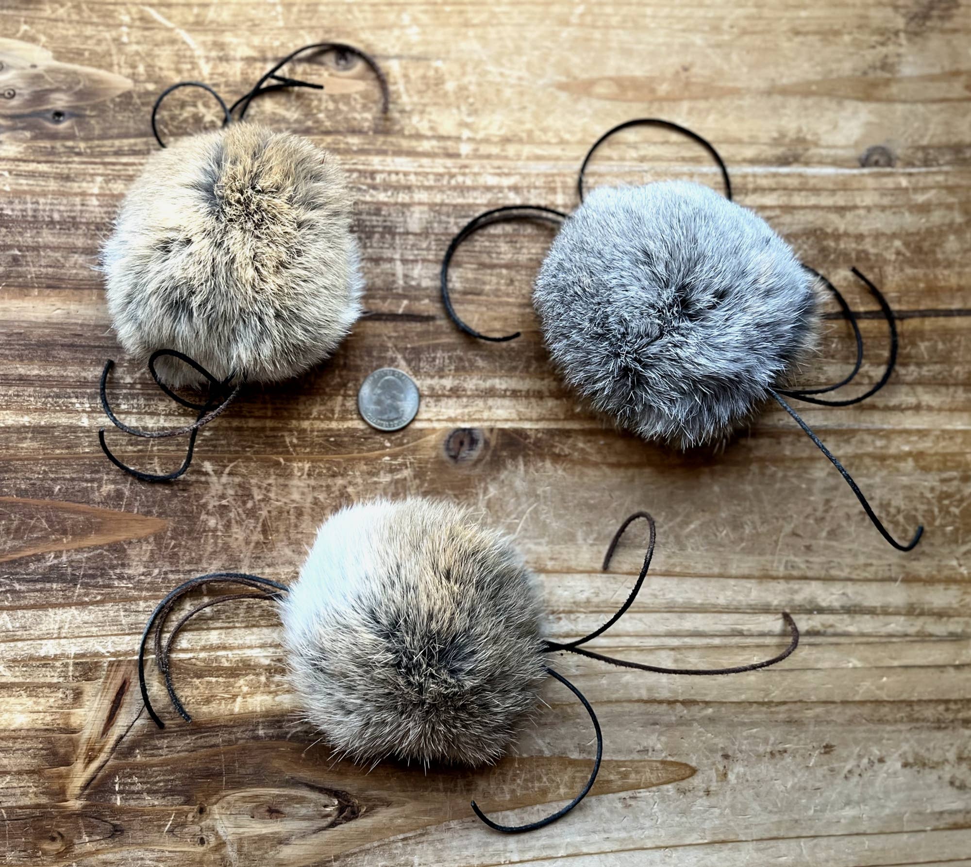 Furwhisker Cat Toy (FWCT-020)