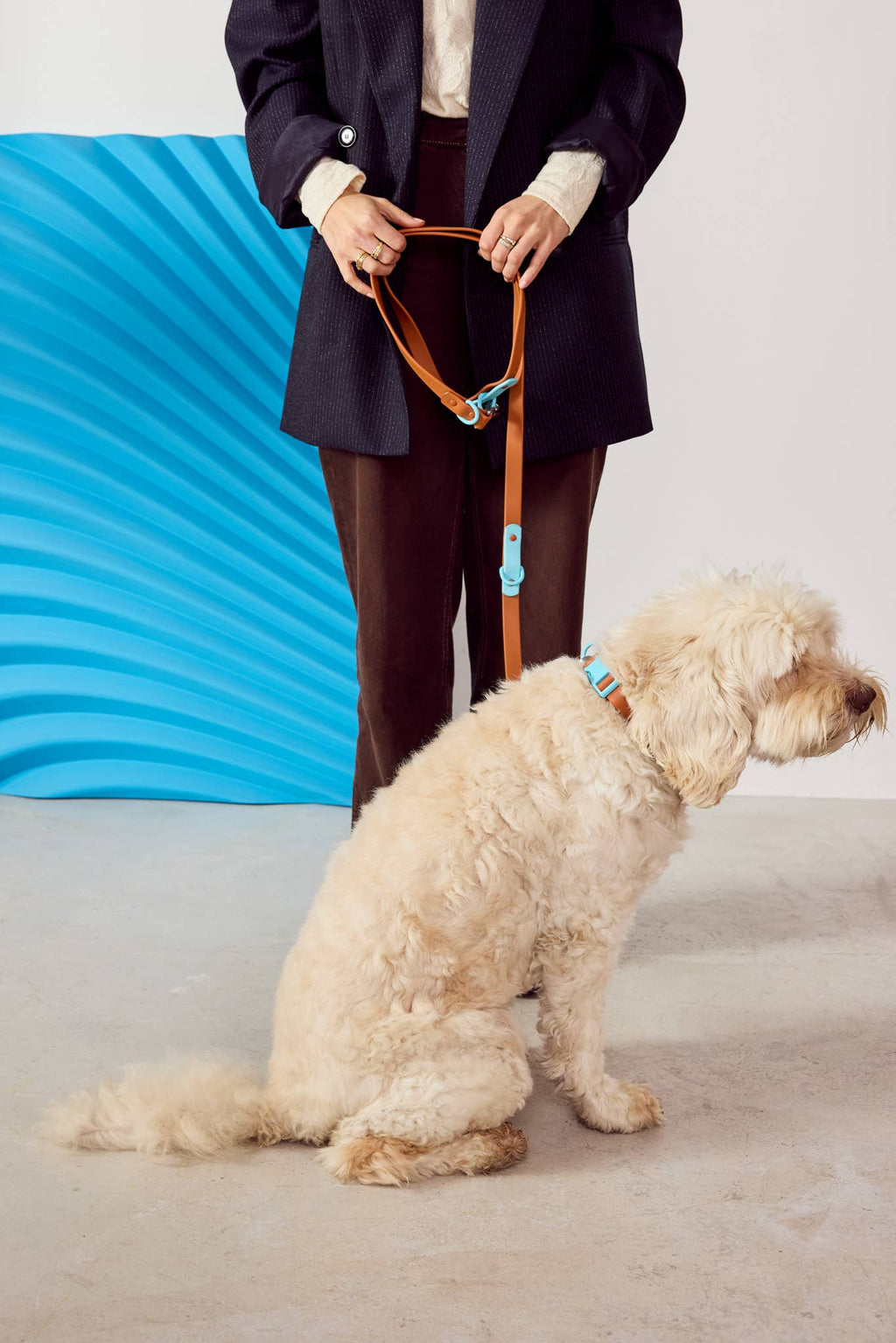 The Fritz Dog Collar 