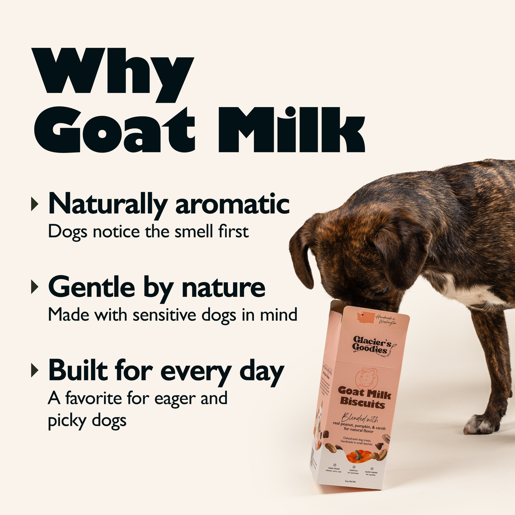 Goat Milk Dog Topper – Pumpkin & Chamomile | Gut-Friendly