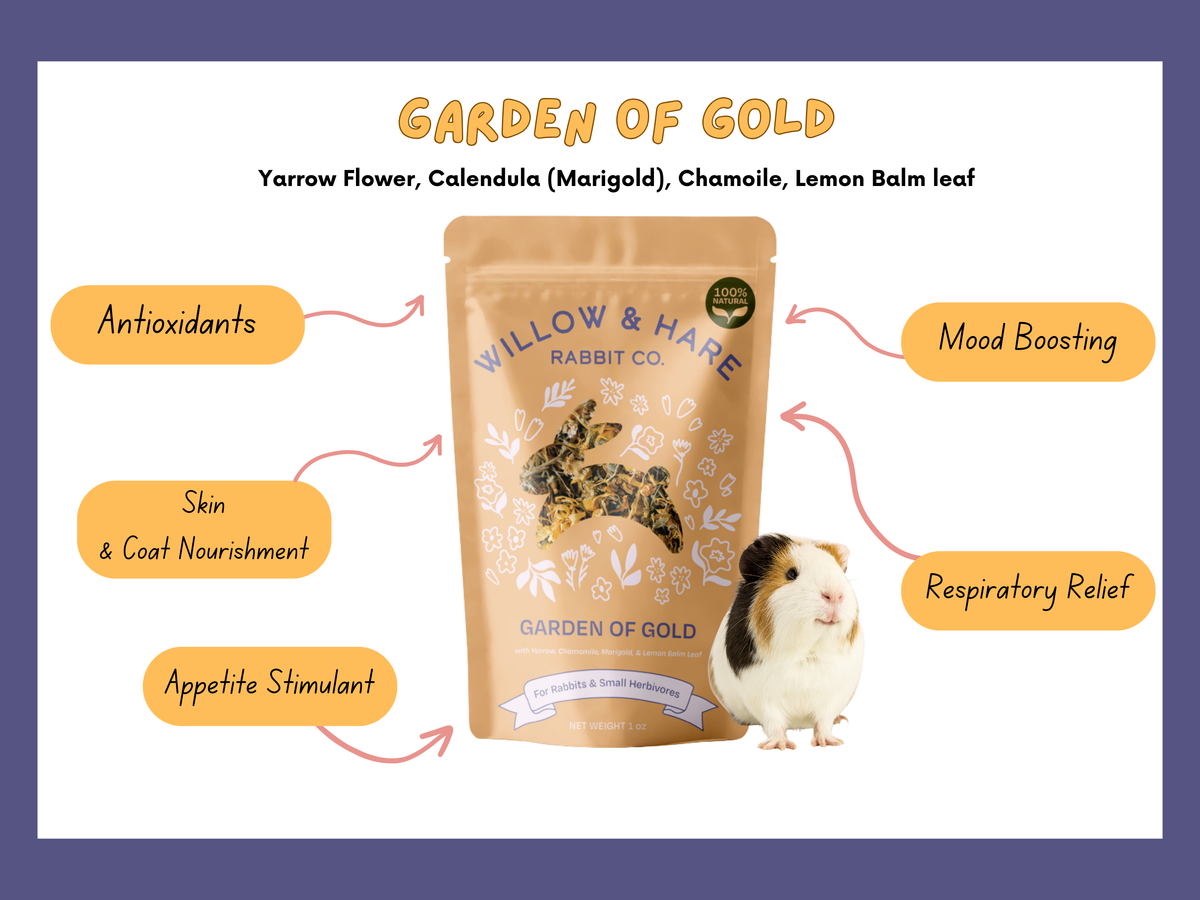 Garden of Gold Forage Blend - Multiple Sizes Available!