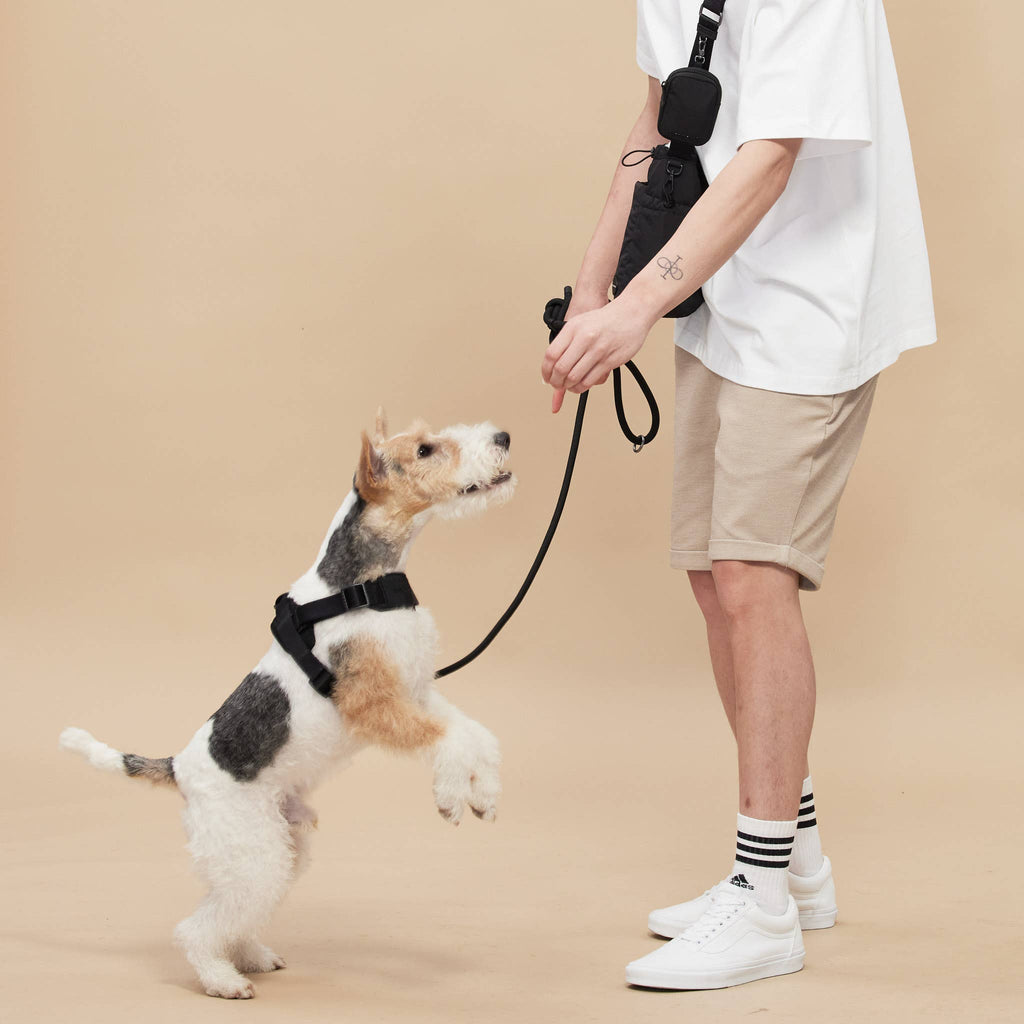 Rover Harness | Ultra Comfort Fabric
