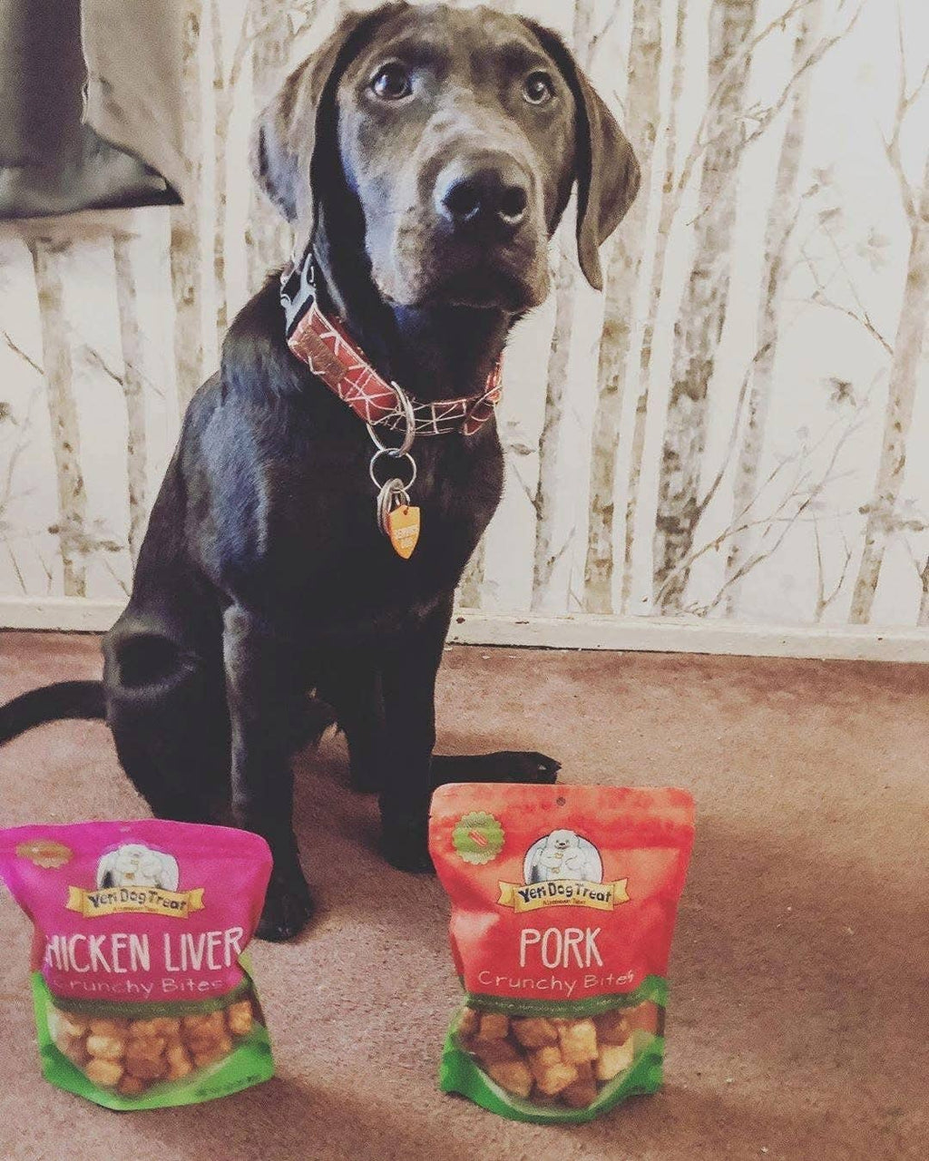 Yeti Chicken Liver Crunchy Bites Himalayan Yak Cheese Dog Treats