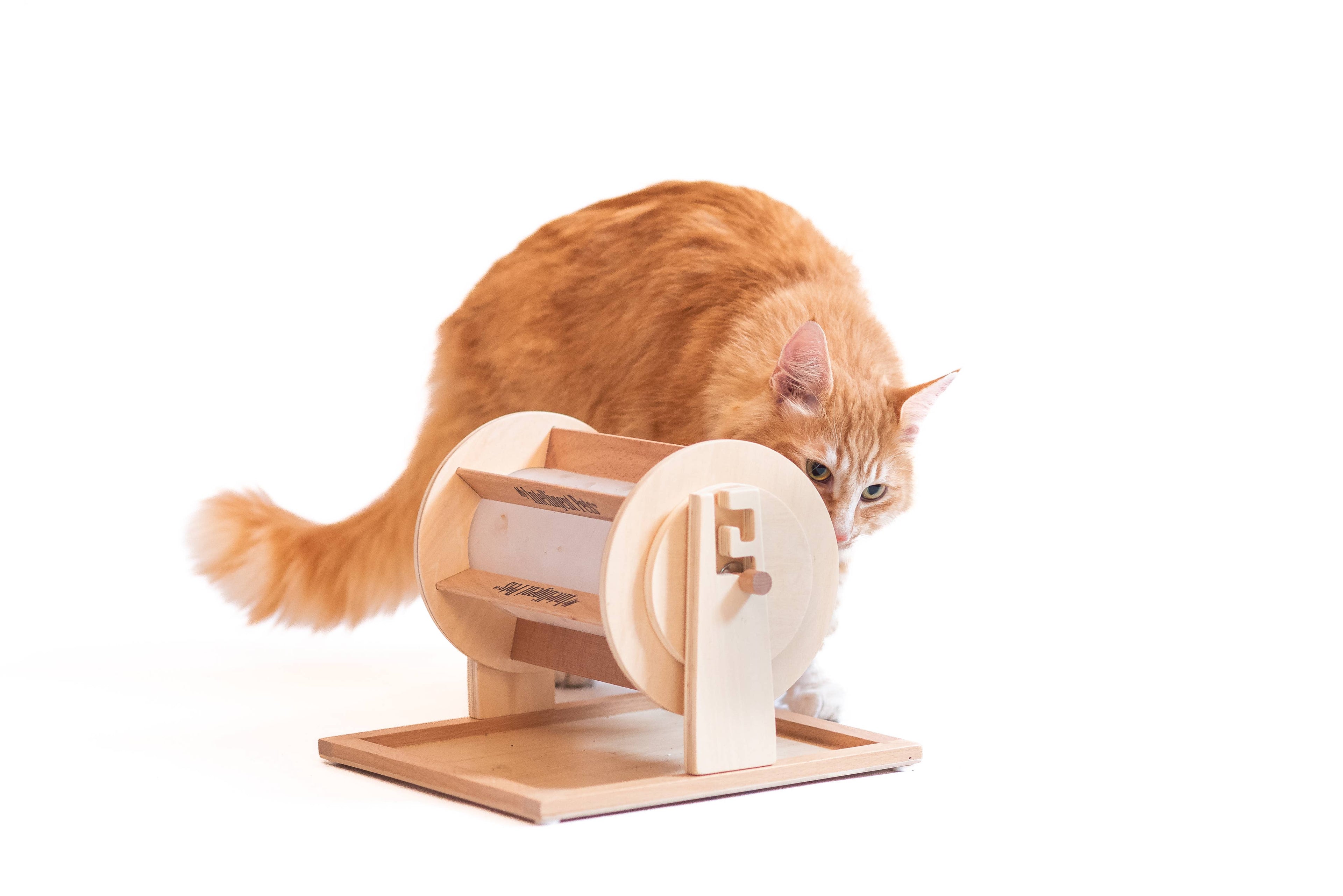 Wheel of Fortune - Pet Toy of the Year - pet treat dispenser