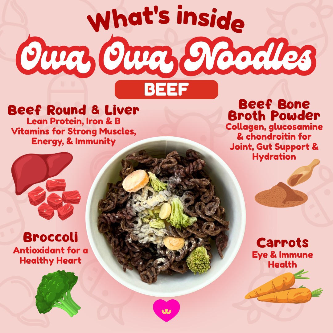 Owa Owa Noodles – Beef