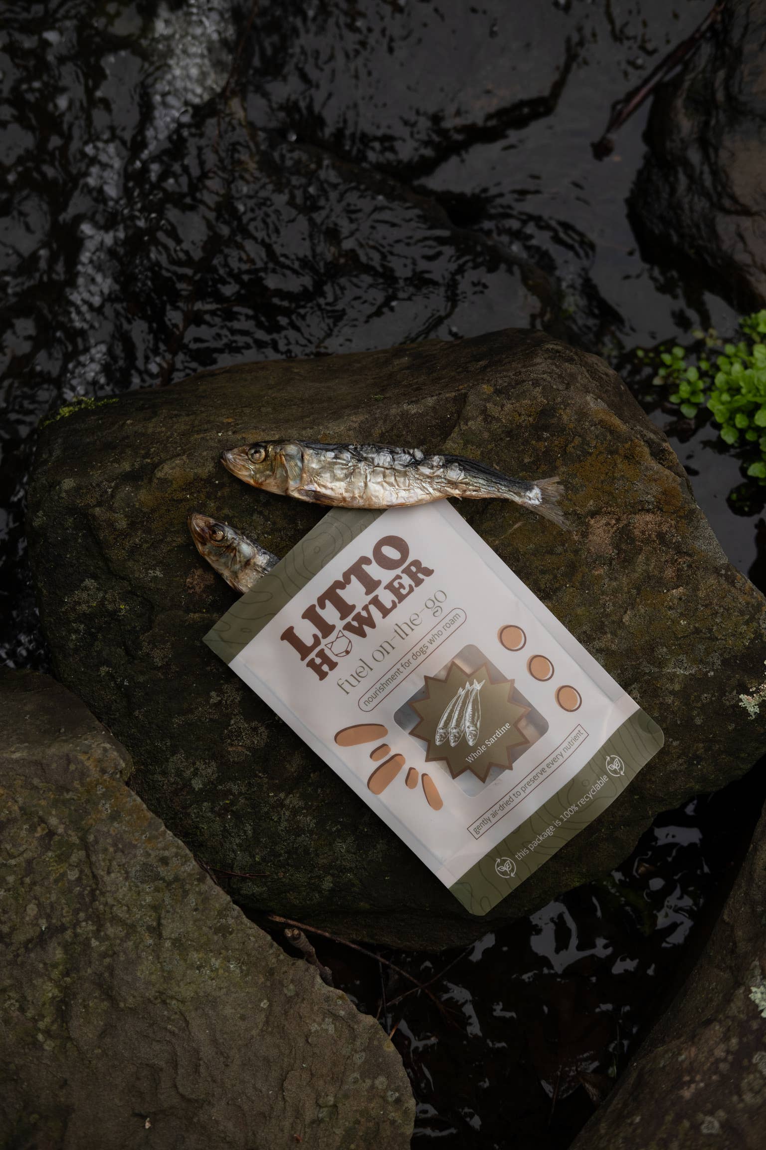 Freeze-Dried Whole Sardines | 3 oz