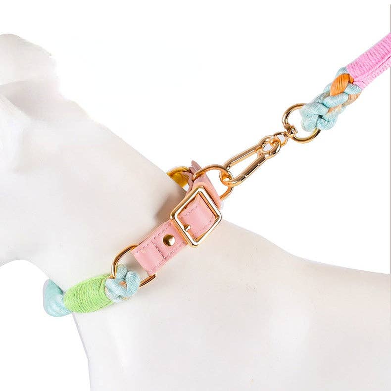 Loofie - Bright Dog Collar