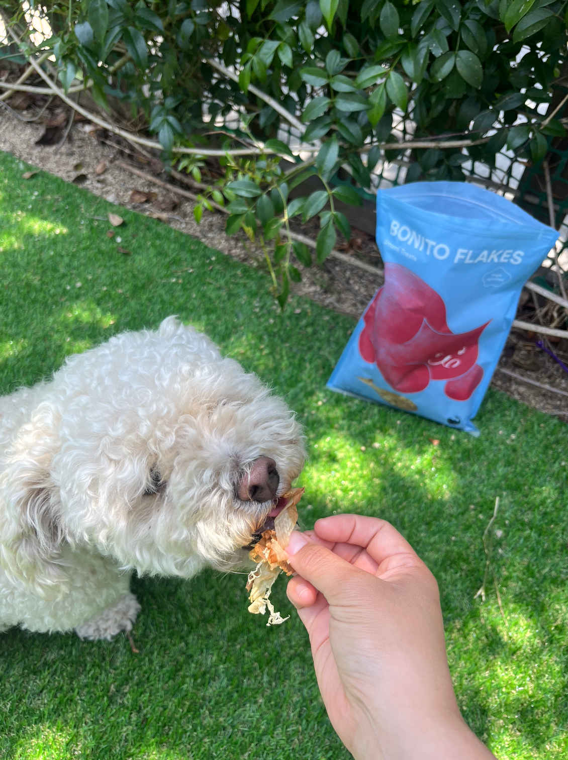 Umami Treats: Bonito Flakes Single Ingredient 4oz bag