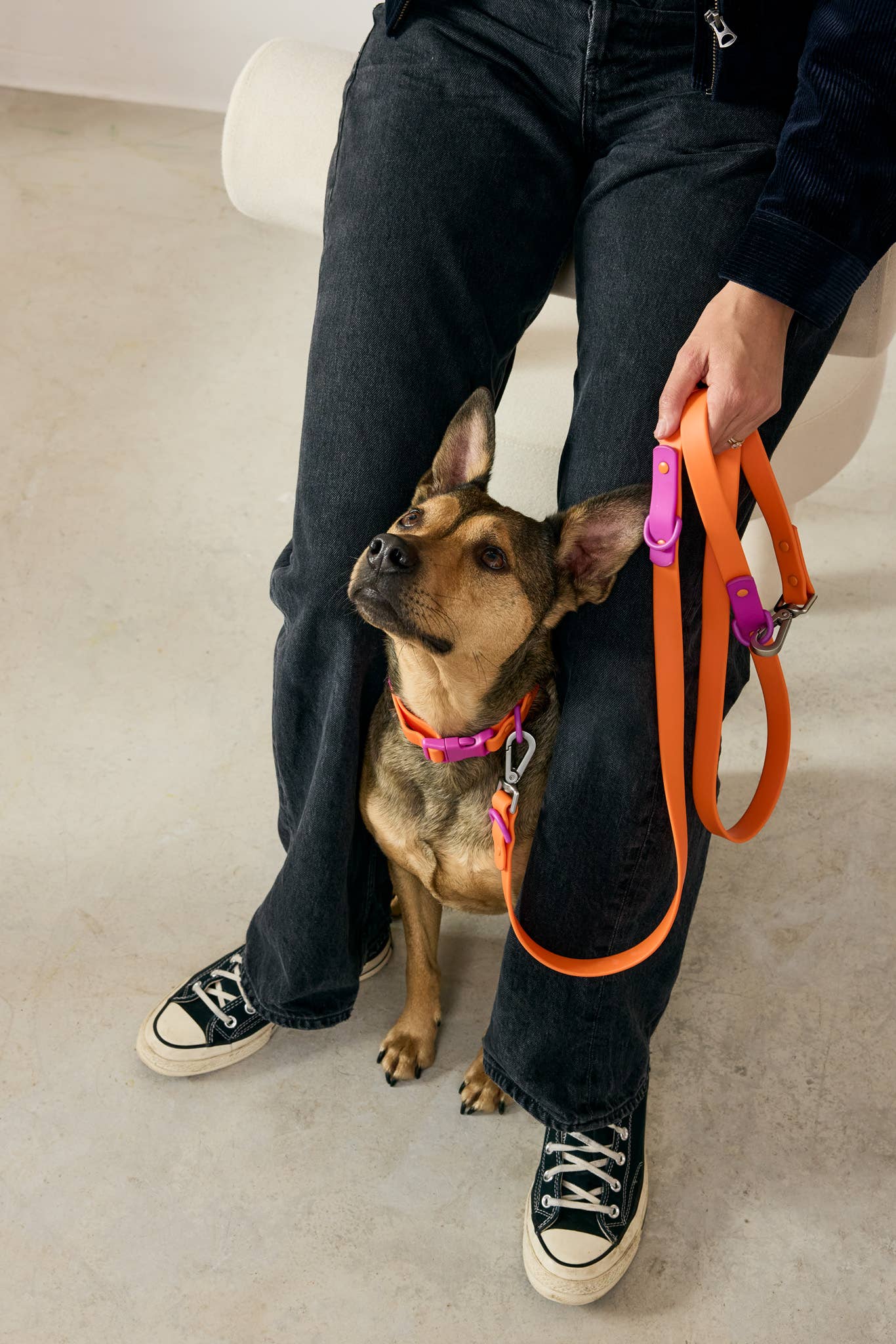 The Fritz Dog Leash | Leash wit Handle | Multi Dog Leash