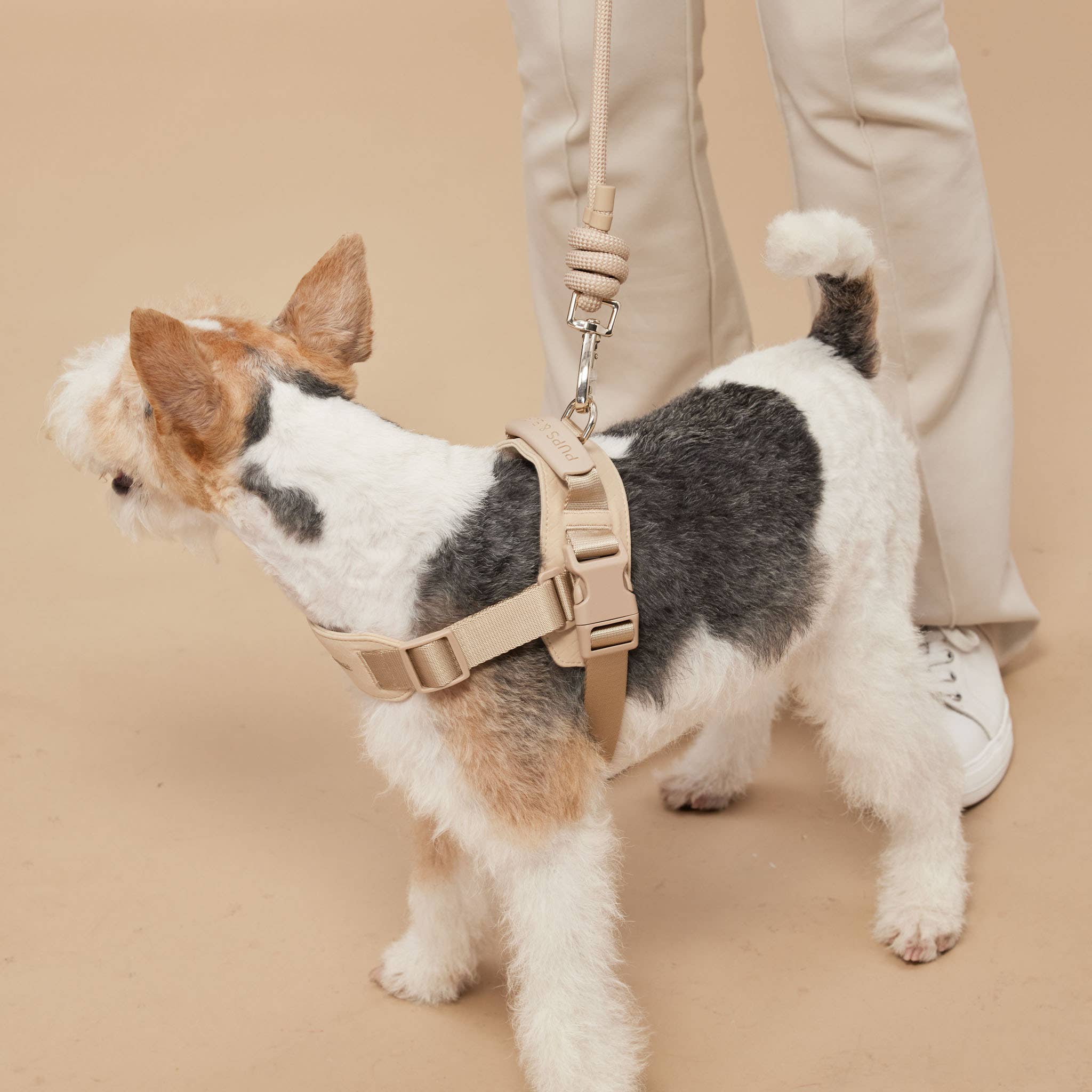 Rover Harness | Ultra Comfort Fabric
