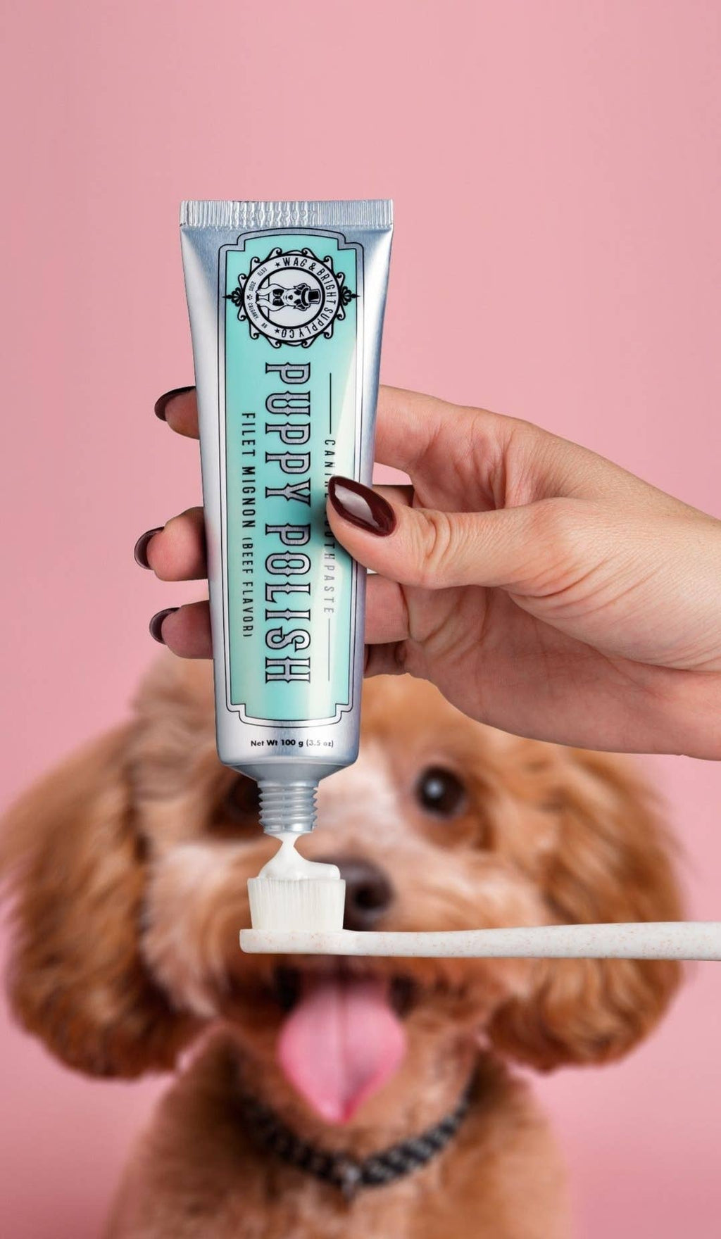 Puppy Polish Toothpaste - Filet Mignon (Beef)