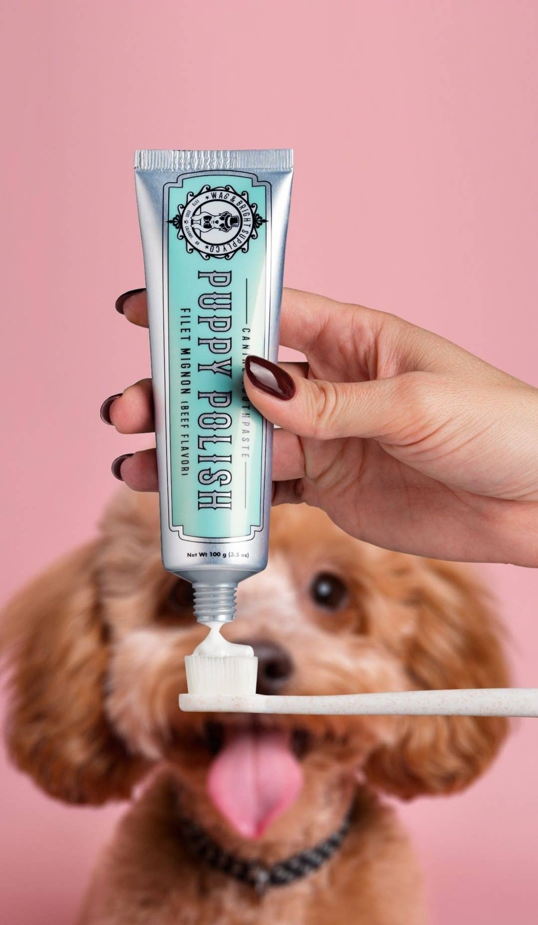 Puppy Polish Toothpaste - Filet Mignon (Beef)
