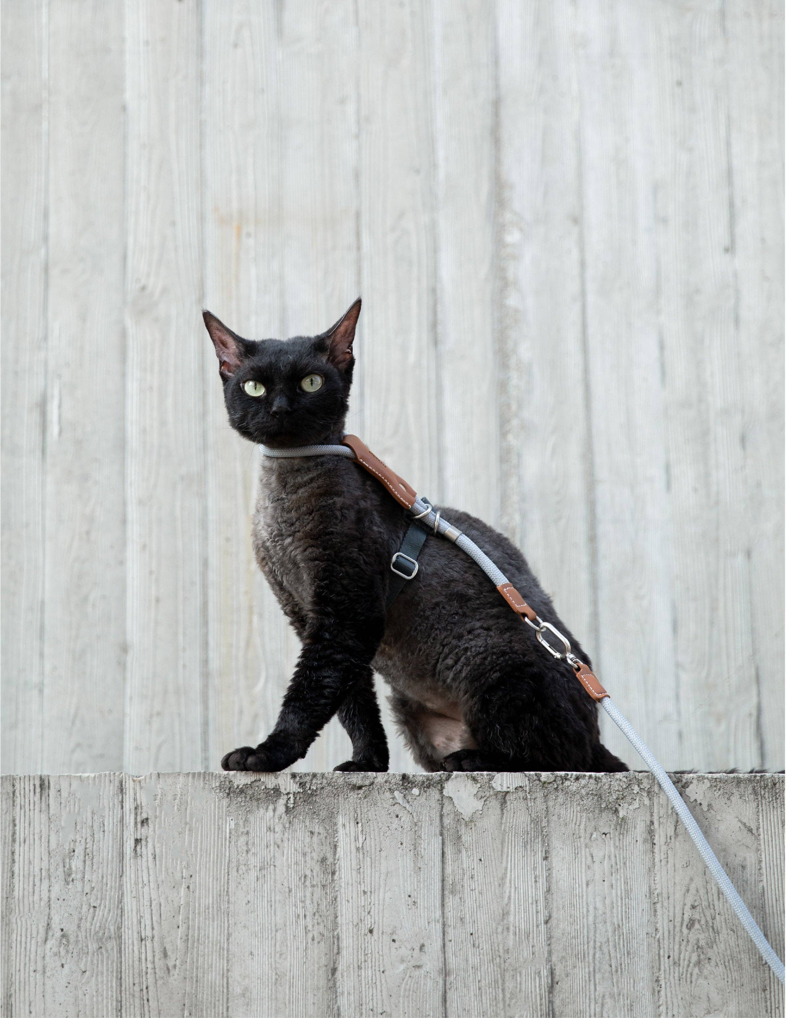 Escape Proof H-Shape Cat Harness and Leash Set Adjustable Ultra Lightweight Rope Walking Harness for Cats up to 17 lbs