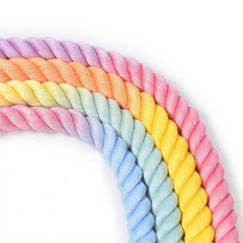Loofie - Bright Dog Collar