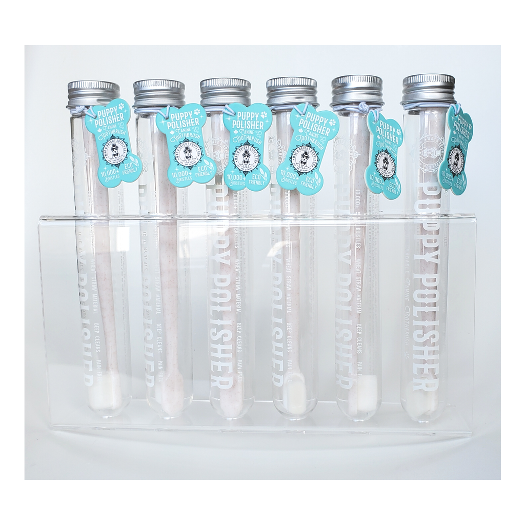 Puppy Polisher Eco Toothbrush - Medium