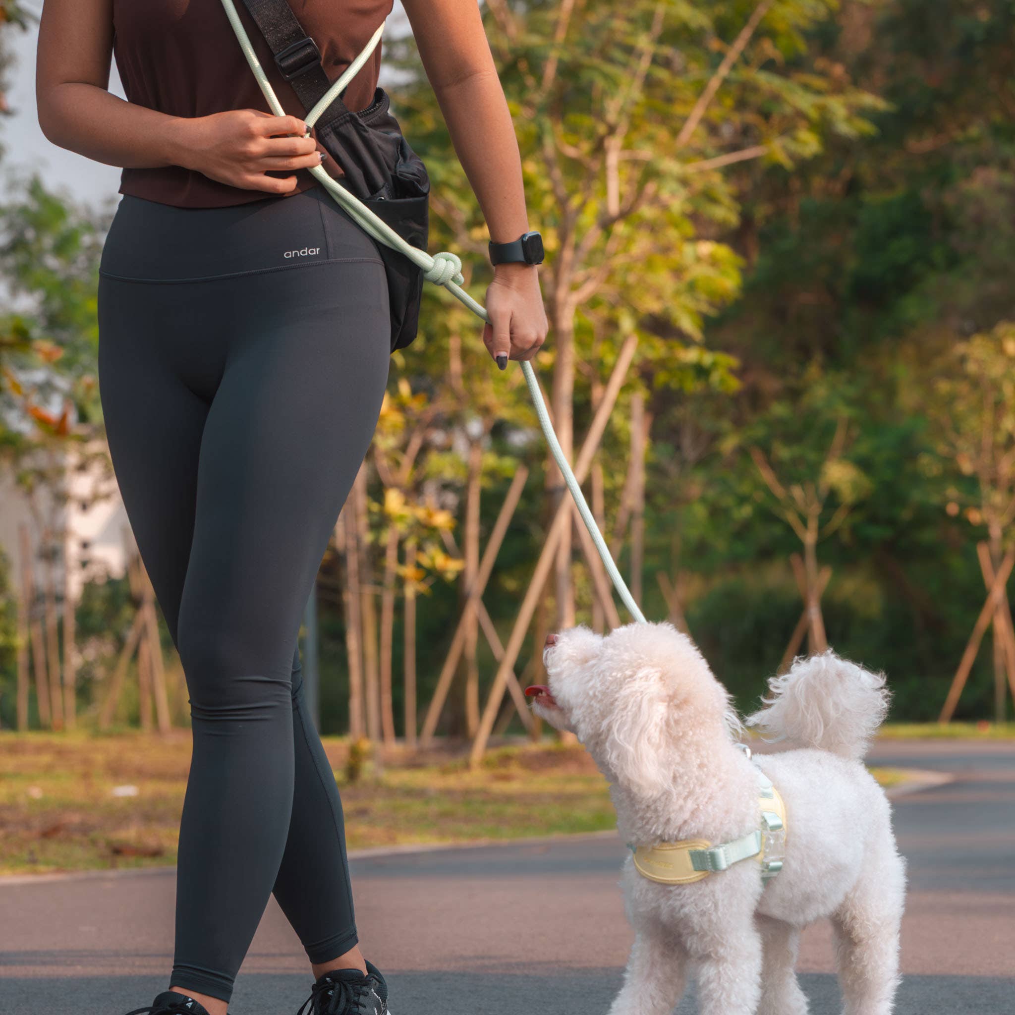 Rover Rope Leash | Matched To Jelly Harness
