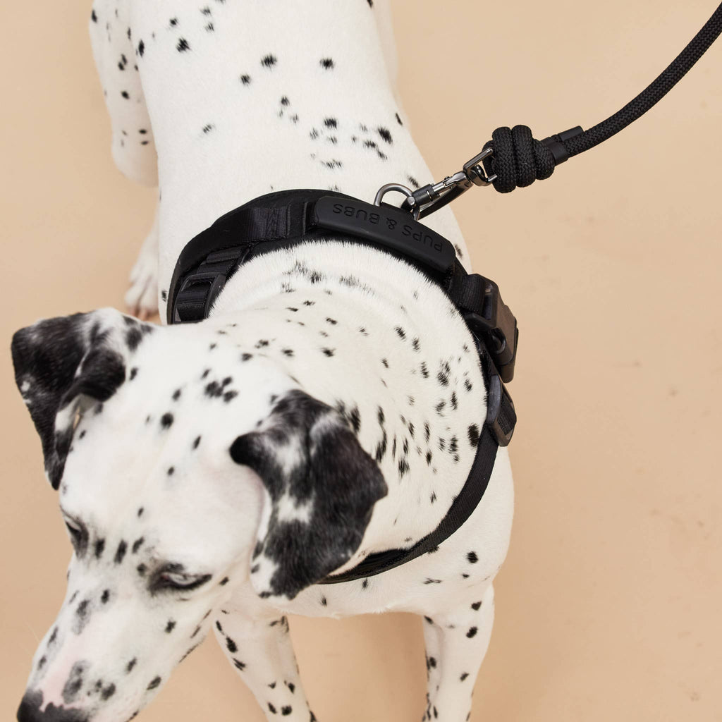 Rover Harness | Ultra Comfort Fabric