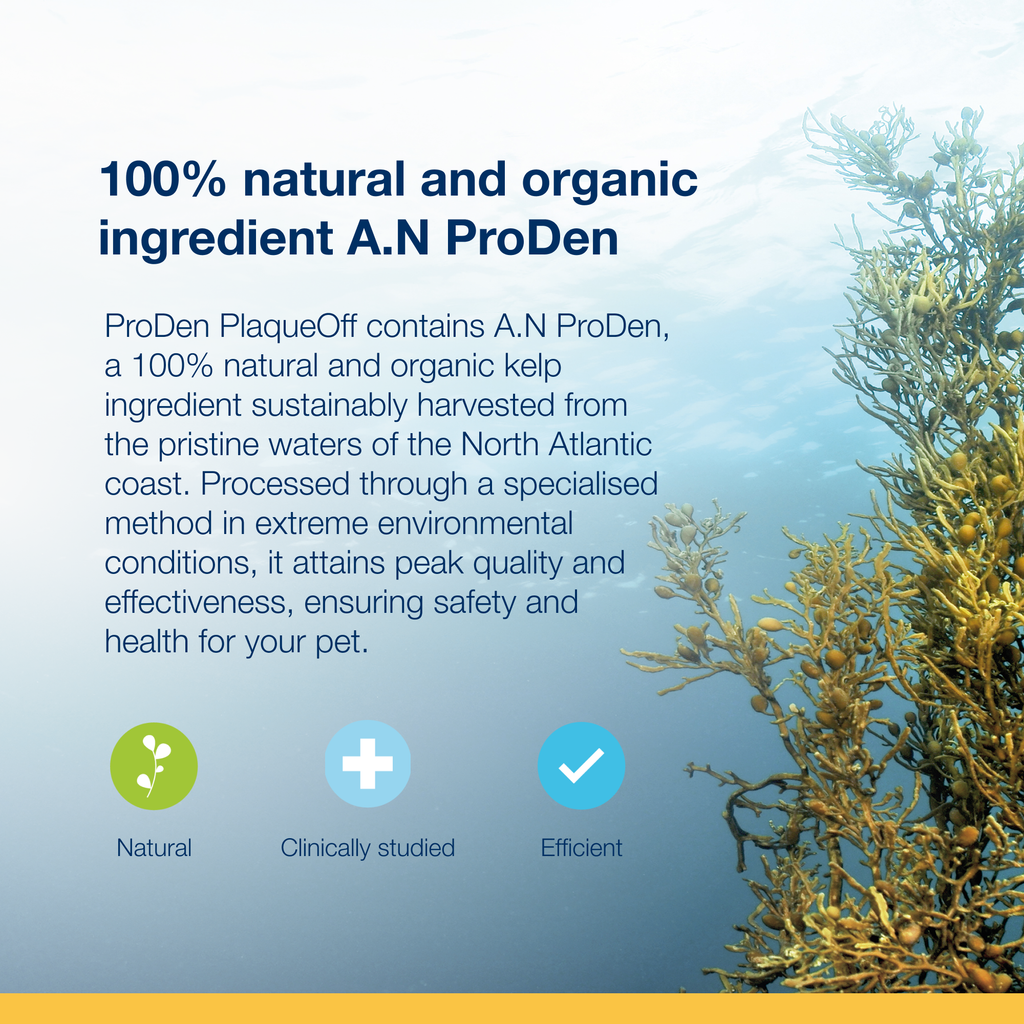 ProDen PlaqueOff® Powder 40g Cat