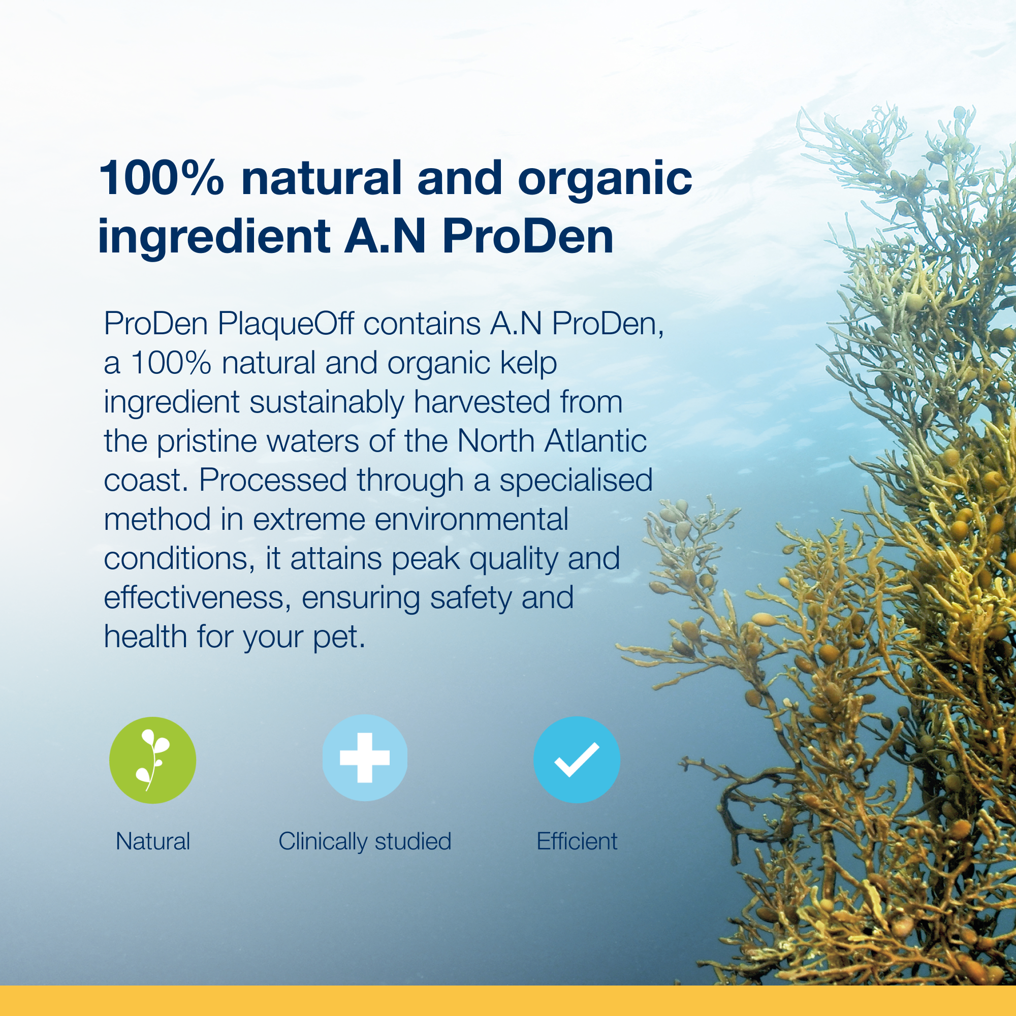 ProDen PlaqueOff® Powder 40g Cat