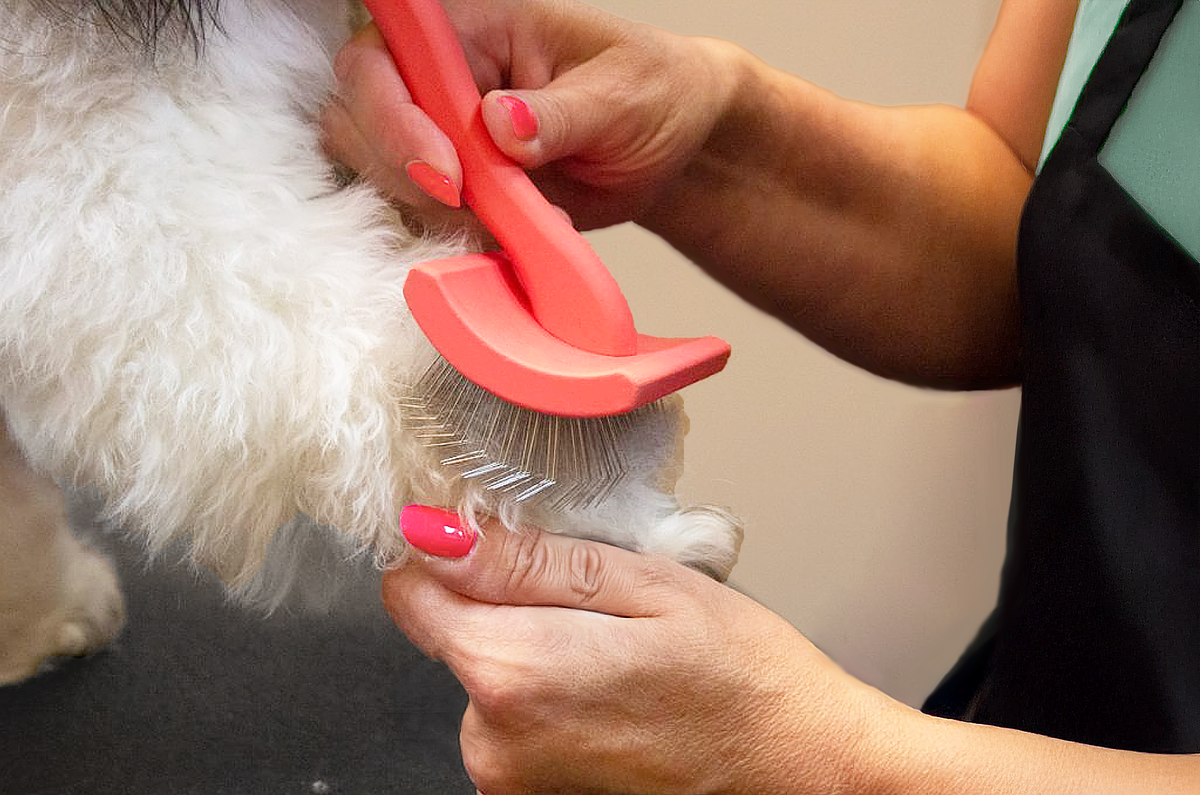 Pet Slicker Brush for Dogs and Cats, Curved Coral Medium