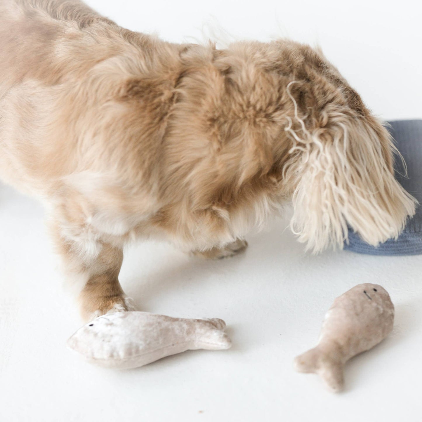 SARDINES // ENRICHMENT DOG TOY // Squeaky + Snuffle Toy