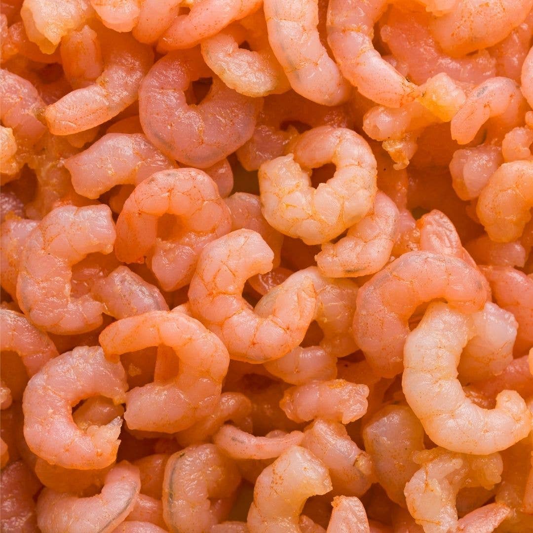 Shrimp Trainers 1oz Freeze Dried