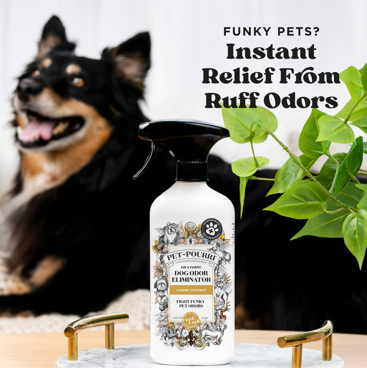 Pet~Pourri Dog Canine Coconut Air + Fabric Odor Refresher