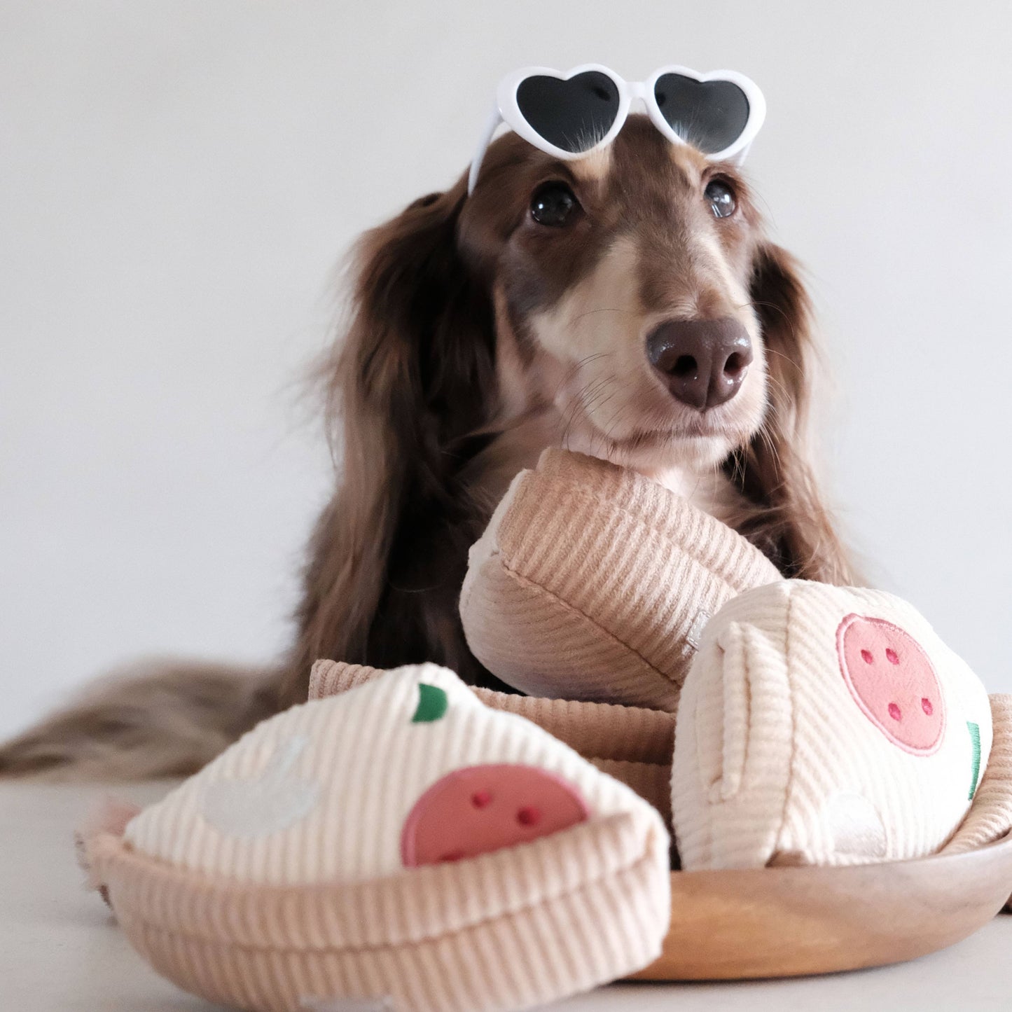 DEEP DISH PIZZA // ENRICHMENT DOG TOY // Squeaky + Snuffle