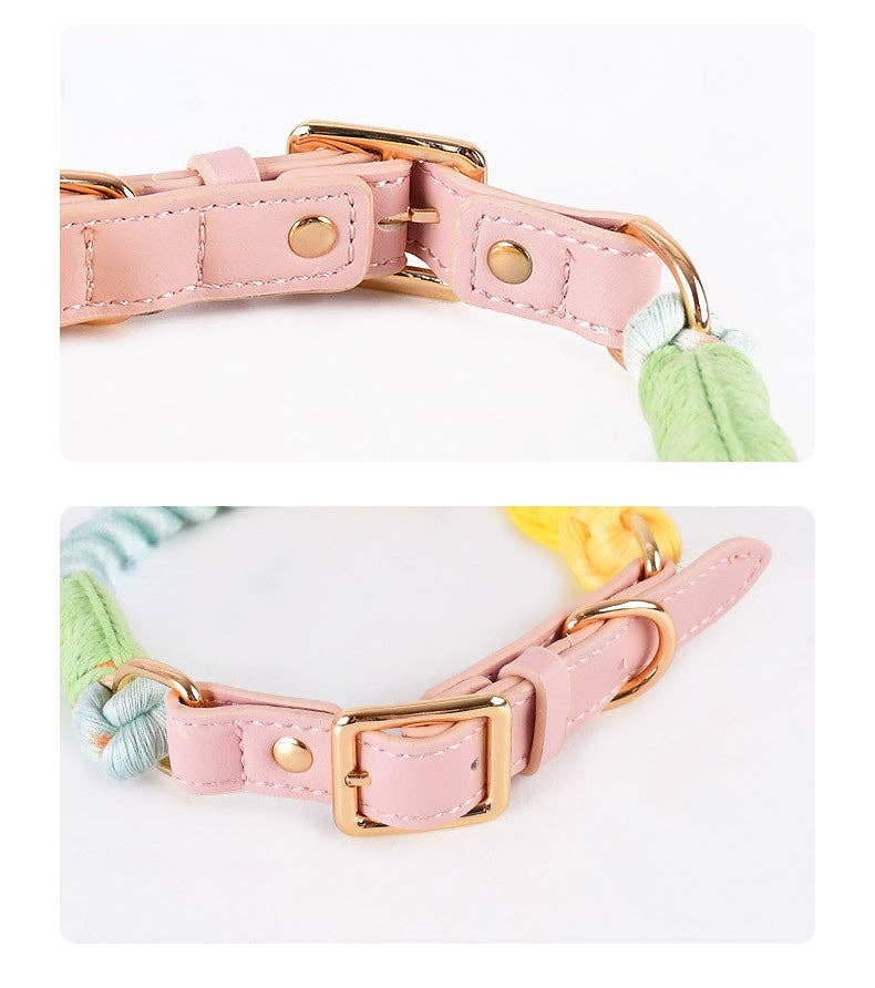 Loofie - Colorful Dog Collar