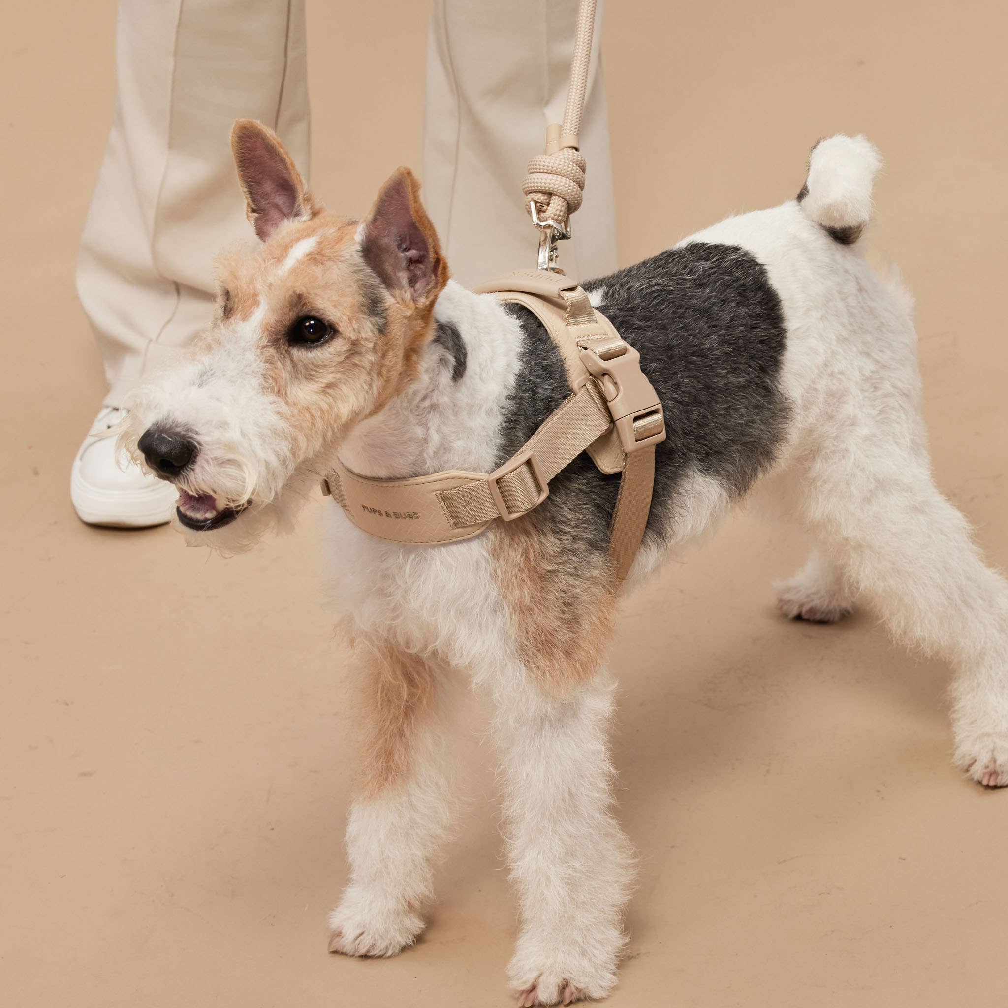 Rover Harness | Ultra Comfort Fabric